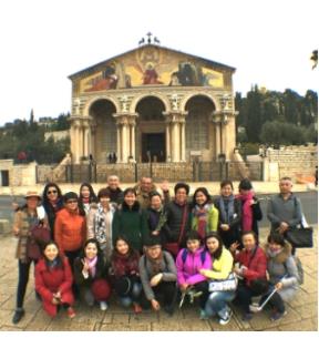 streams of life singapore